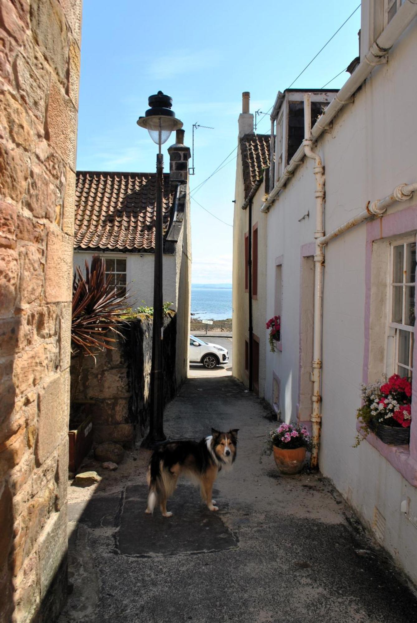 Dookers Nook- Quirky Coastal Cottage Pittenweem Extérieur photo